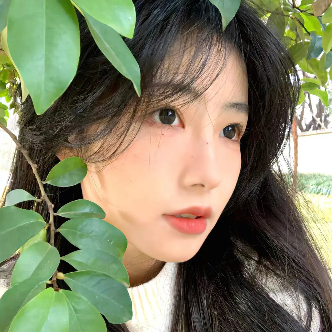 我们自己的土地