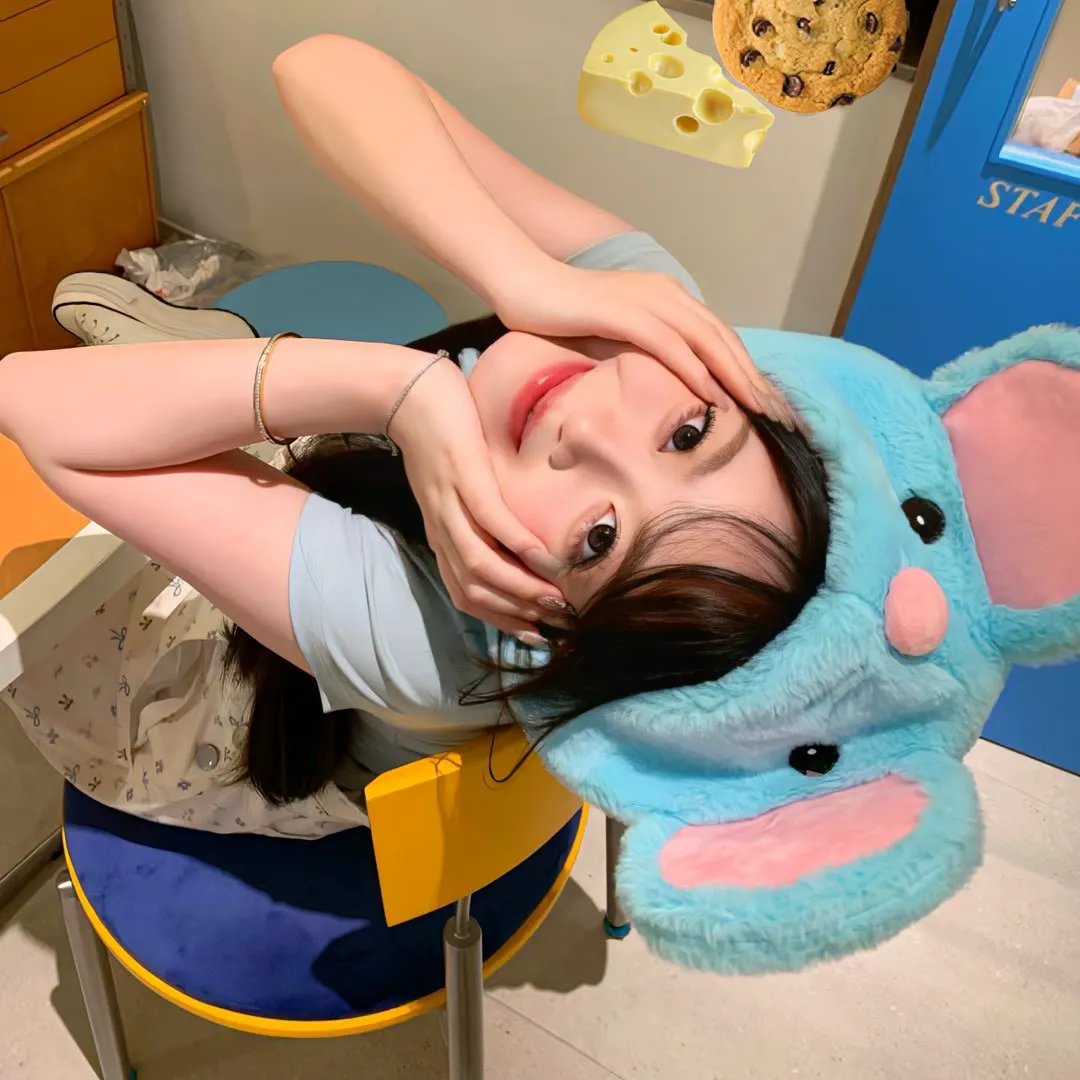 战地花开